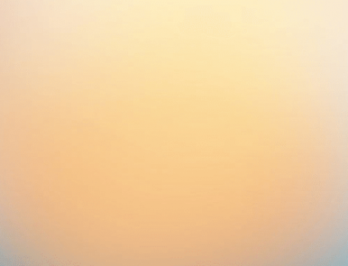 RECIPE – Protein Shake