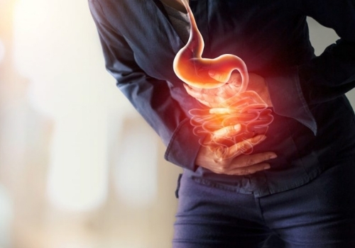 500 Digestive Restoration